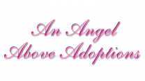 An Angel Above Adoptions